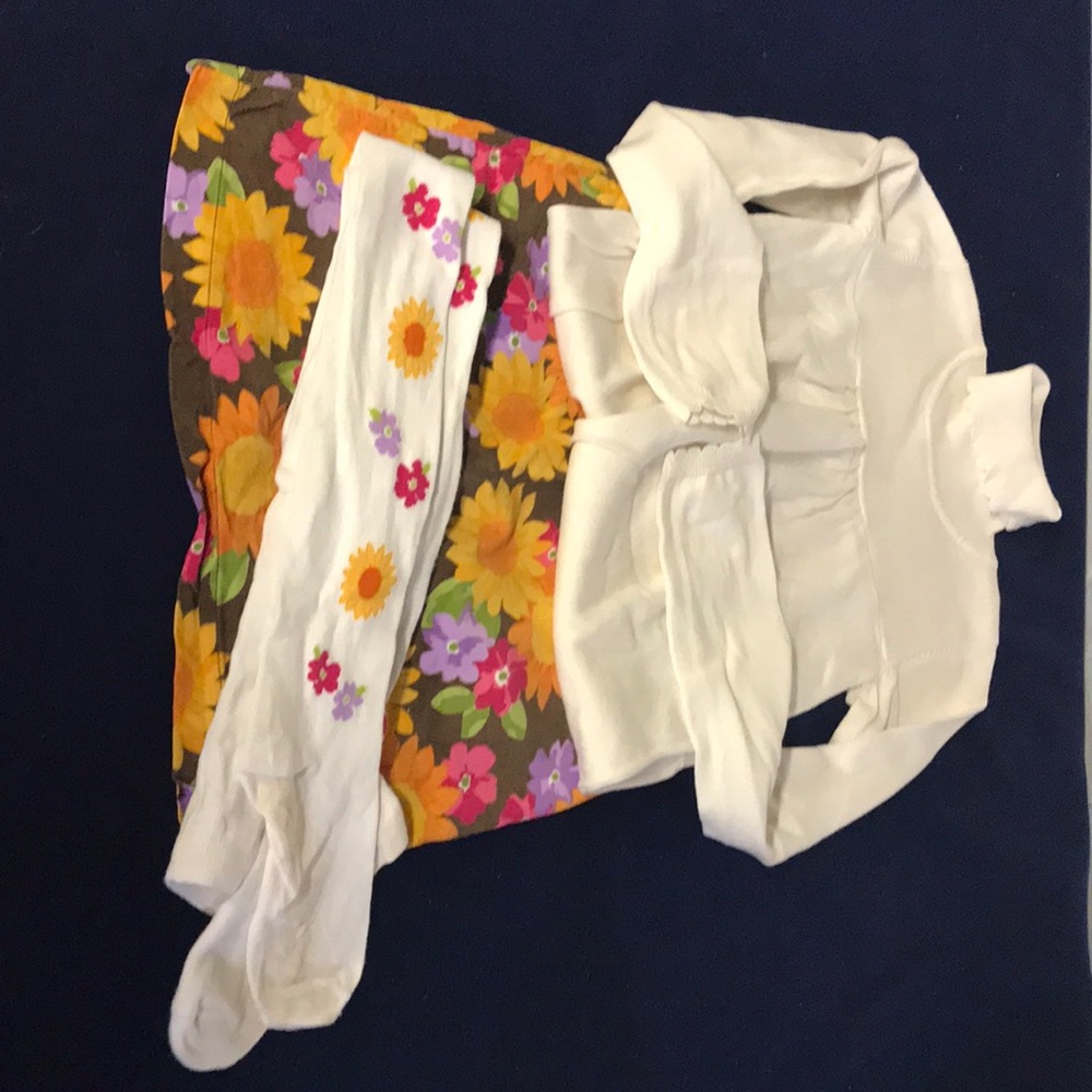 Girls Gymboree size 12 outfit